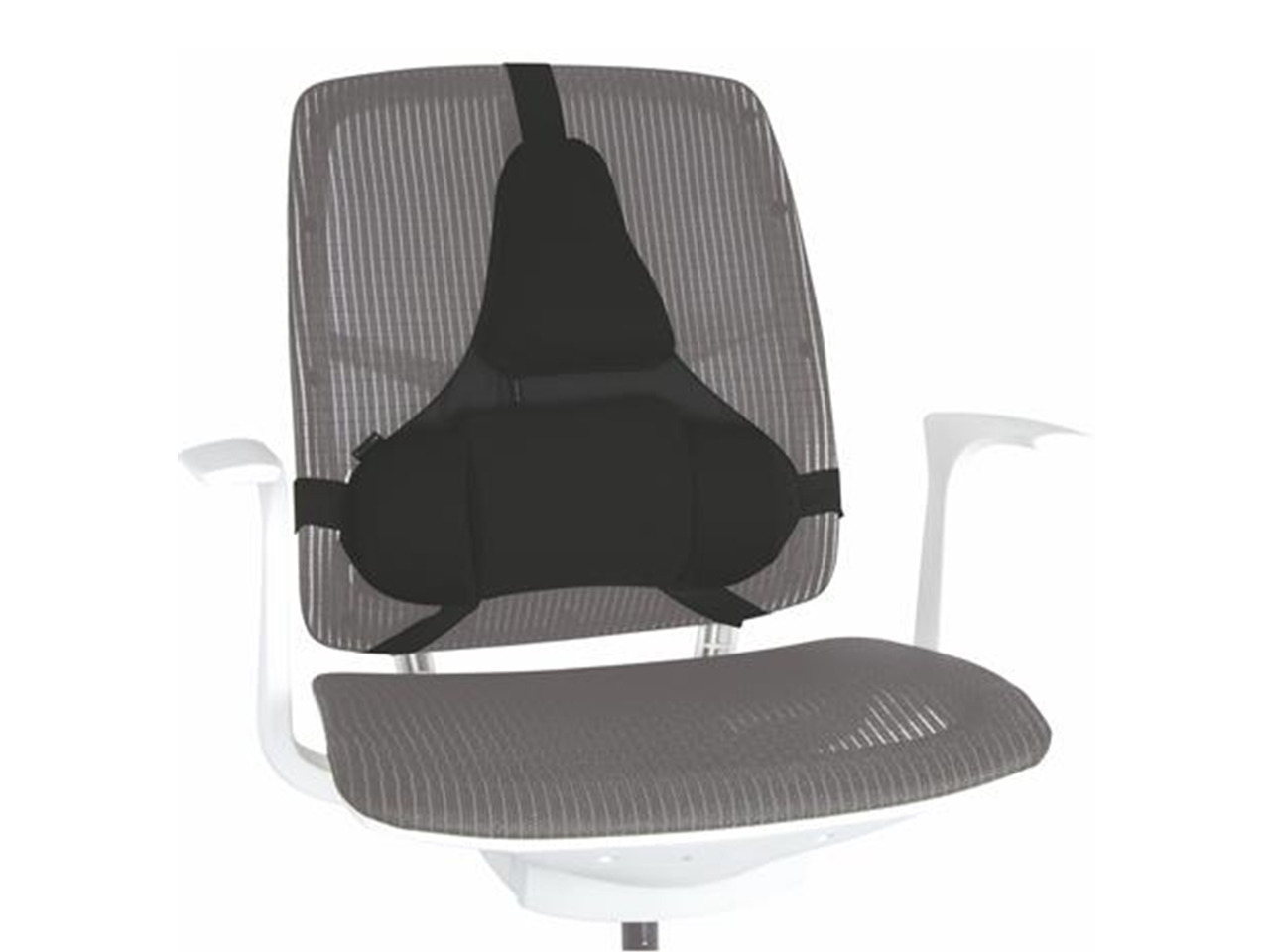 COR-Professional Series Ultimate háttámasz (IFW80376)