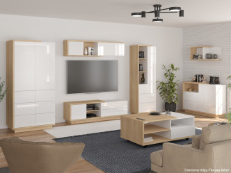 NAP-Hybrid 27 modern polcos vitrin 2